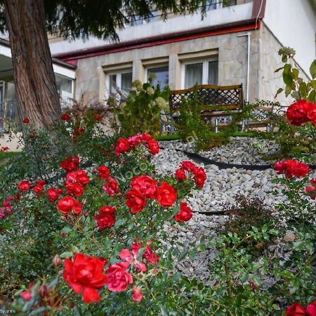Dom Wczasowy Sokolica Krynica Zdroj Exterior foto