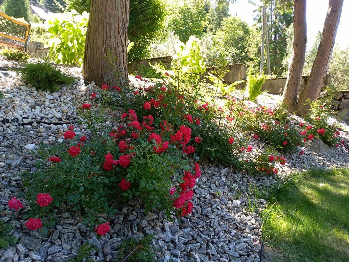 Dom Wczasowy Sokolica Krynica Zdroj Exterior foto