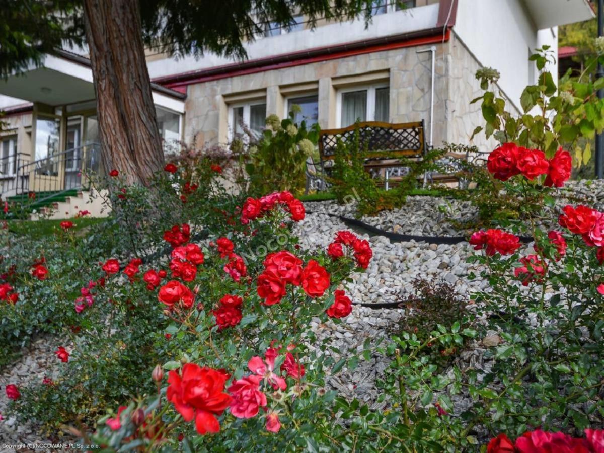 Dom Wczasowy Sokolica Krynica Zdroj Exterior foto